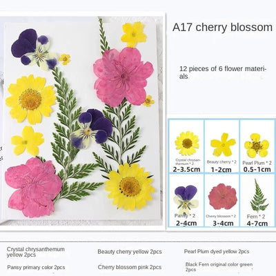 Woyuosn Transparent Dried Flower Bookmarks