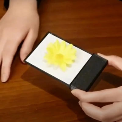 Instant Magic Whiteboard for Creative Transformation