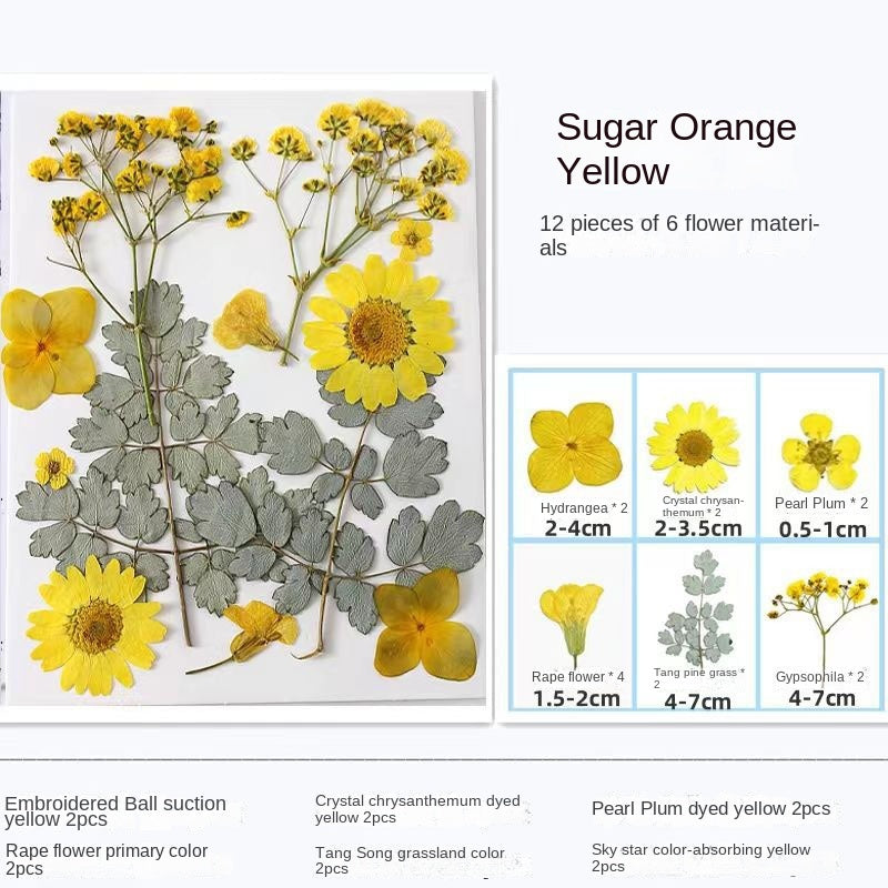 Woyuosn Transparent Dried Flower Bookmarks