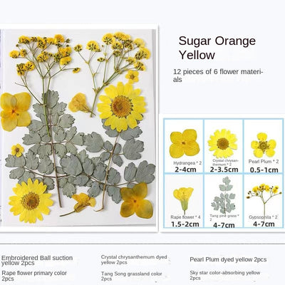 Woyuosn Transparent Dried Flower Bookmarks