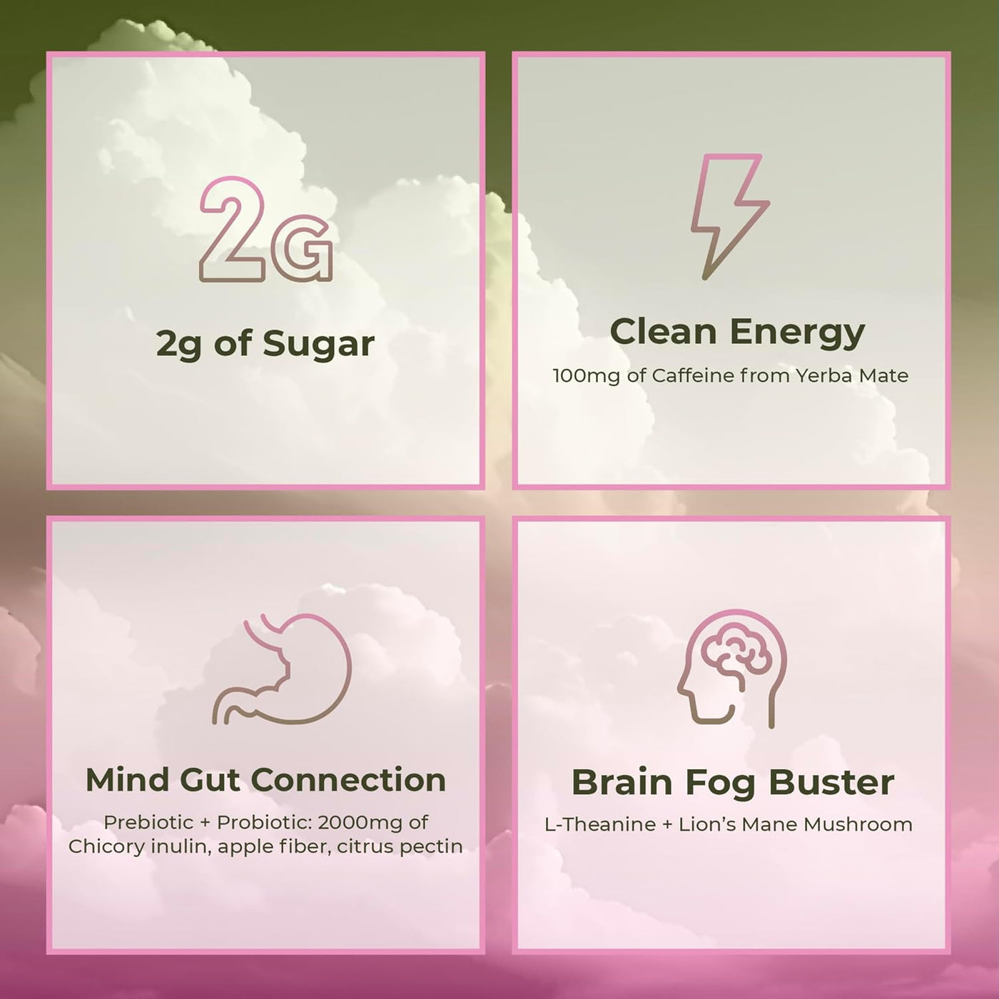 Yerba Mate Instant Tea Powder