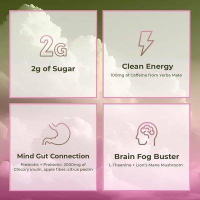 Yerba Mate Instant Tea Powder