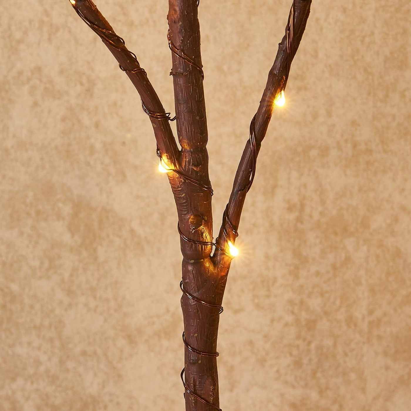 Lighted Brown Branches