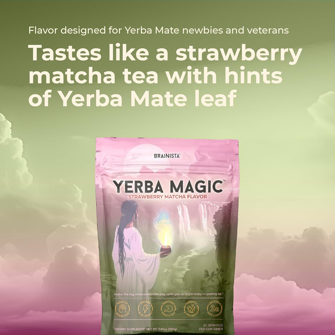Yerba Mate Instant Tea Powder