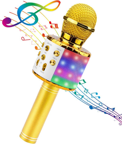 4 in 1 Karaoke Wireless Microphone