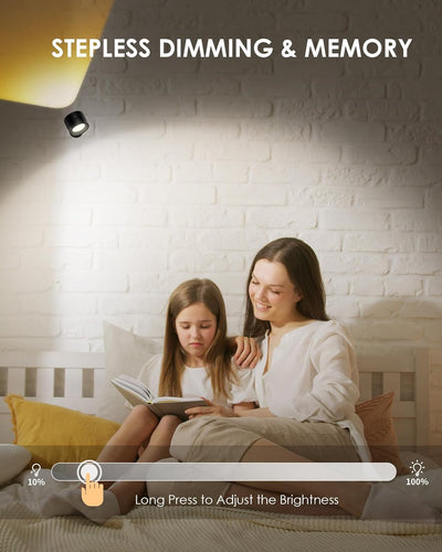 LED Wall Mounted Lights