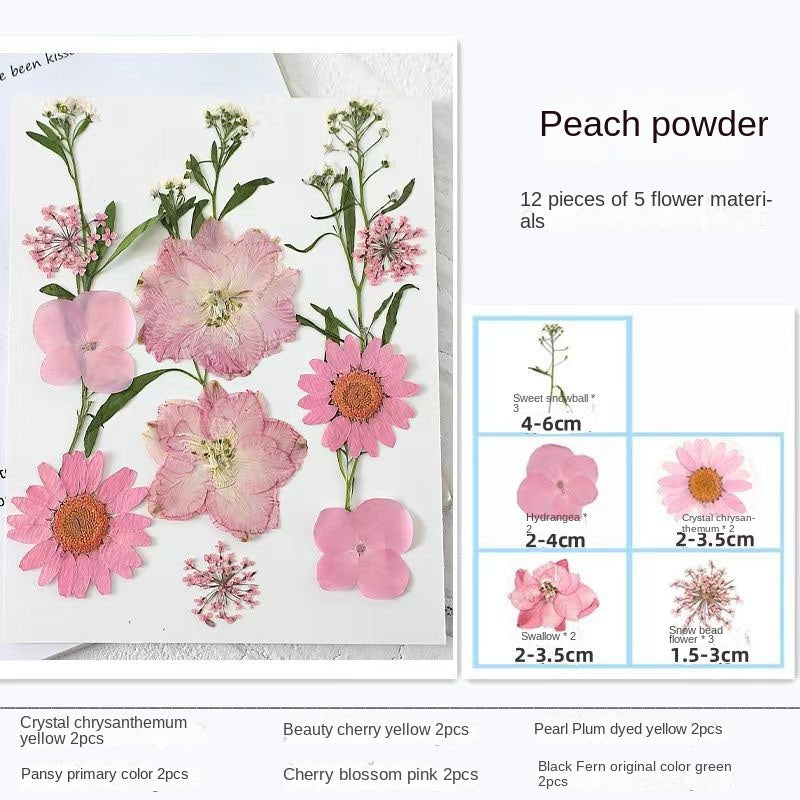 Woyuosn Transparent Dried Flower Bookmarks