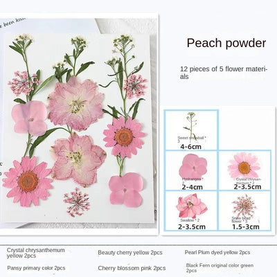 Woyuosn Transparent Dried Flower Bookmarks