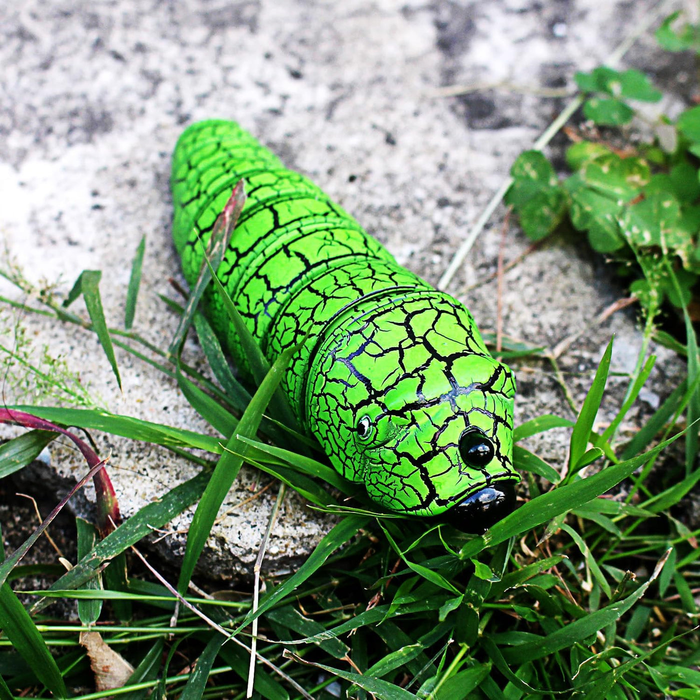 RC Crawling Worm – Realistic Remote Control Prank Bug