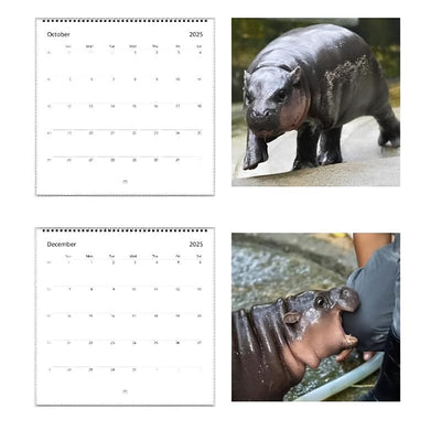 SnuggleMoo Adorable Moo Deng Baby Hippo 2025 Calendar