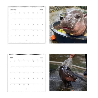SnuggleMoo Adorable Moo Deng Baby Hippo 2025 Calendar
