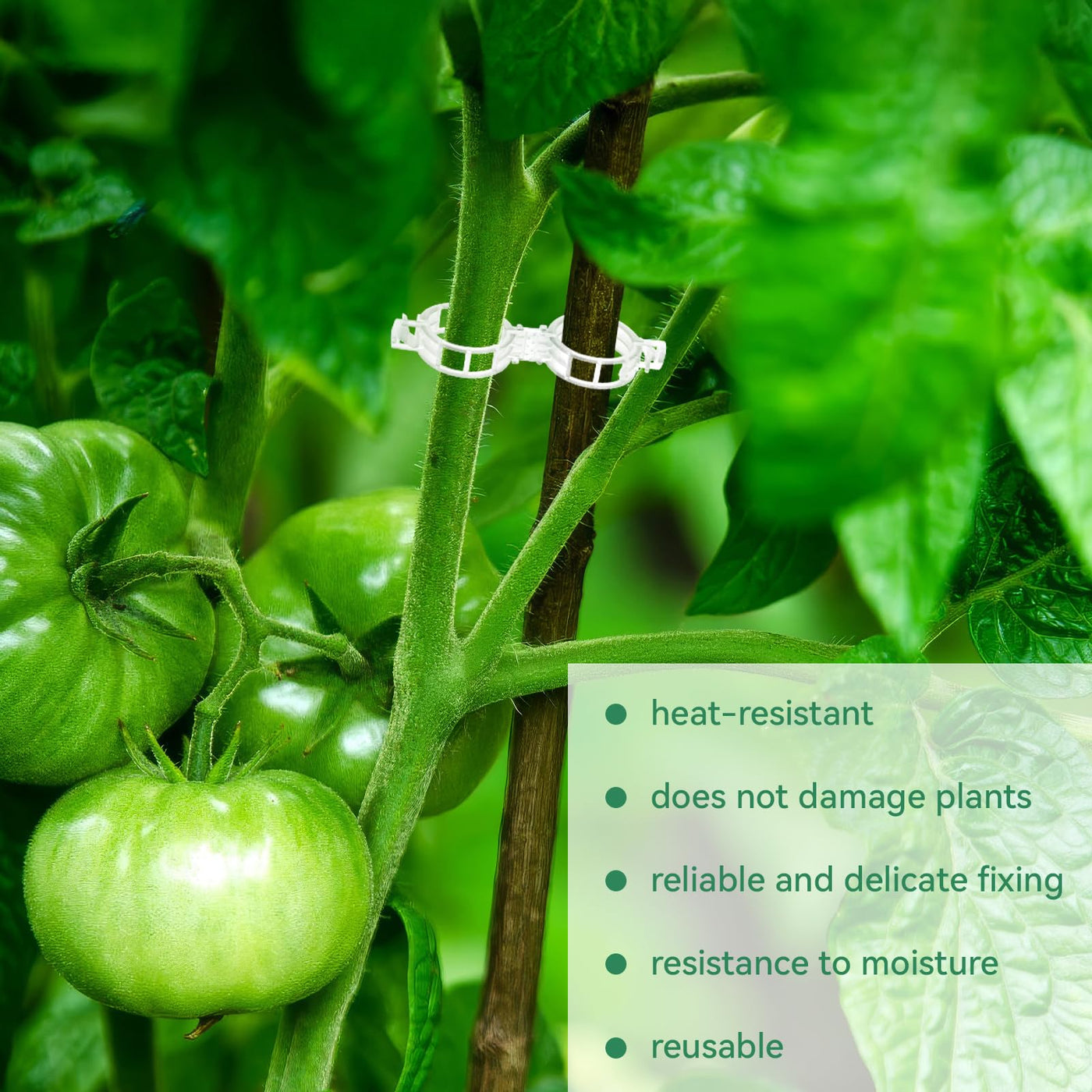 Tomato Clips, Plastic Trellis Clips