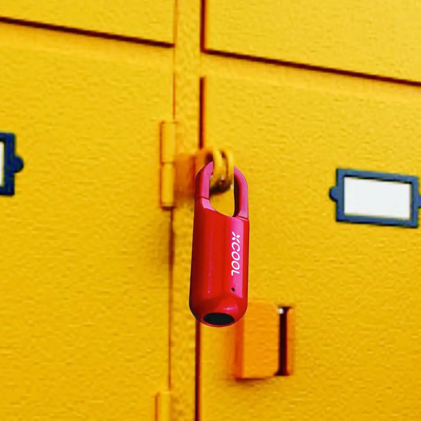 InstaSecure Fingerprint Padlock