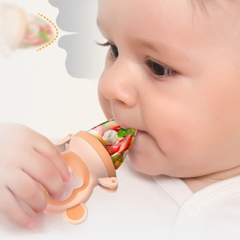 Nibbler Baby Pacifiers Feeder