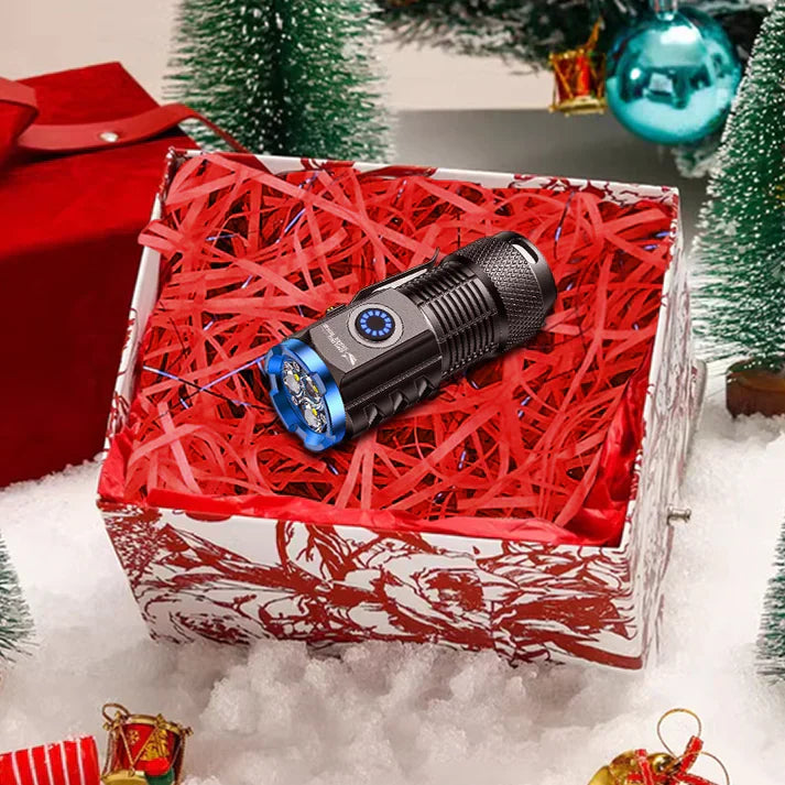 Multi-Functional Mini Flashlight